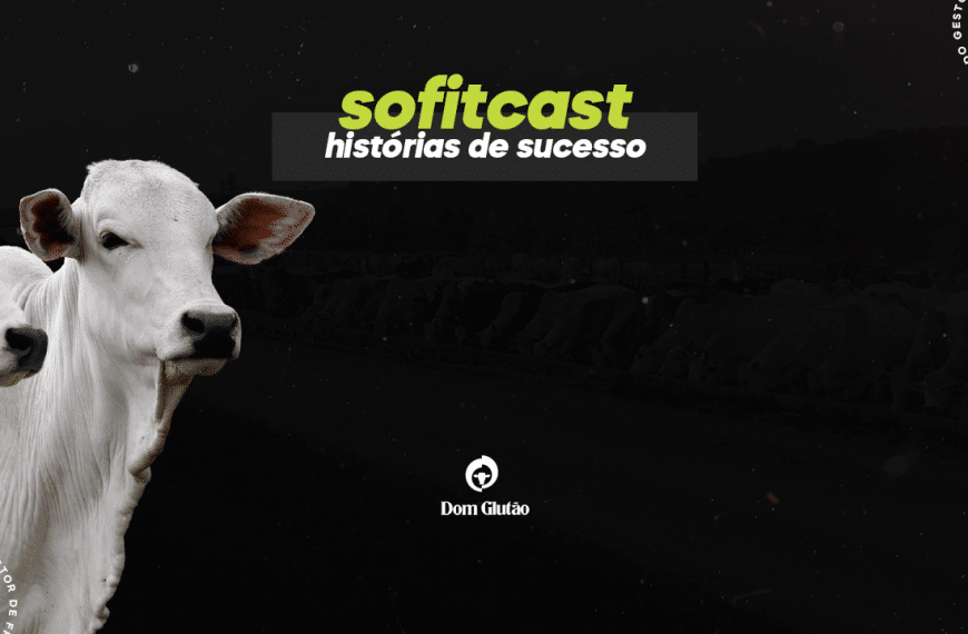 Case Sofit – Dom Glutão: Substituição De Planilhas E 9% Em Redução De Custos Com Pneus Em Menos De 20 Dias!