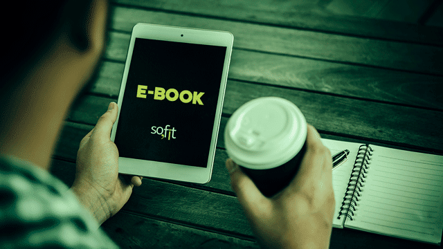 E-Book Controle dos Custos e Receitas da Frota
