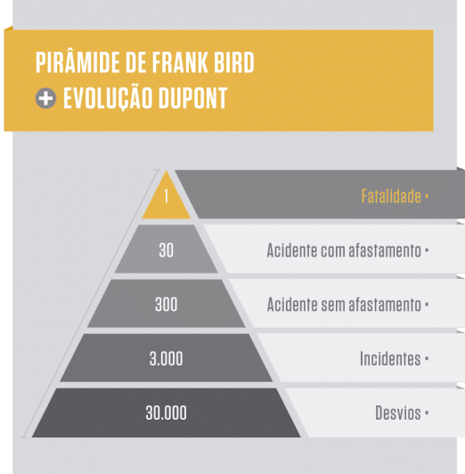piramide de frank bird